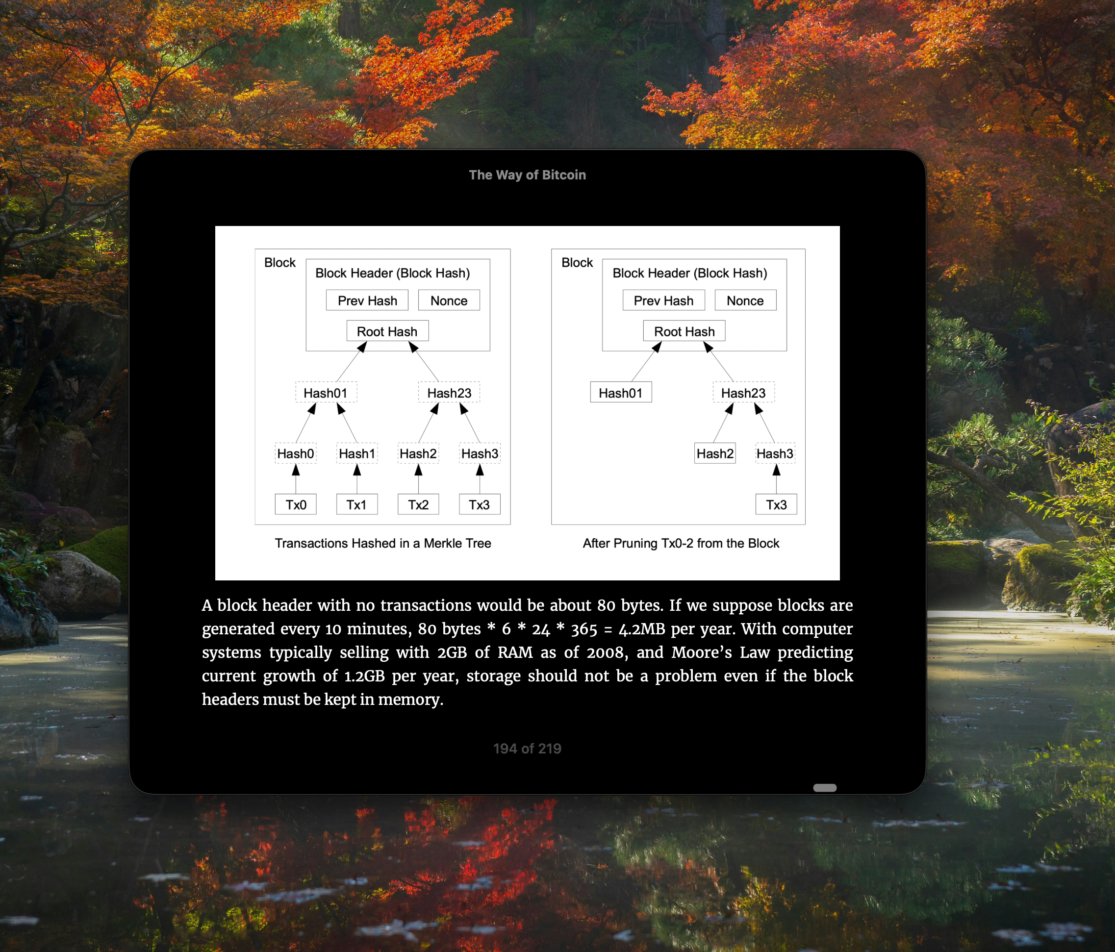 The Way of Bitcoin – EBOOK